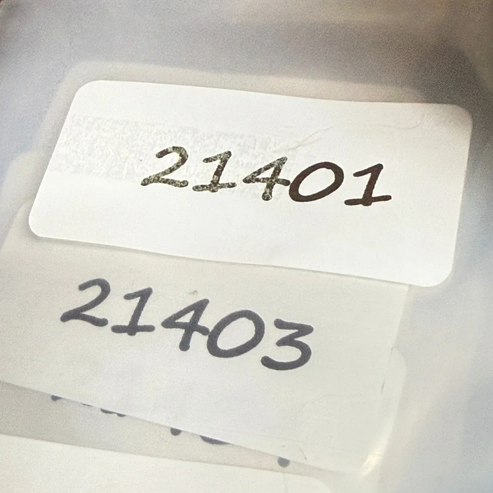 Calvin Klein measurements lens